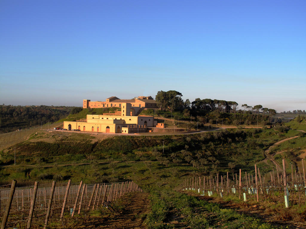 Wine Relais Feudi Del Pisciotto Villa Niscemi Buitenkant foto